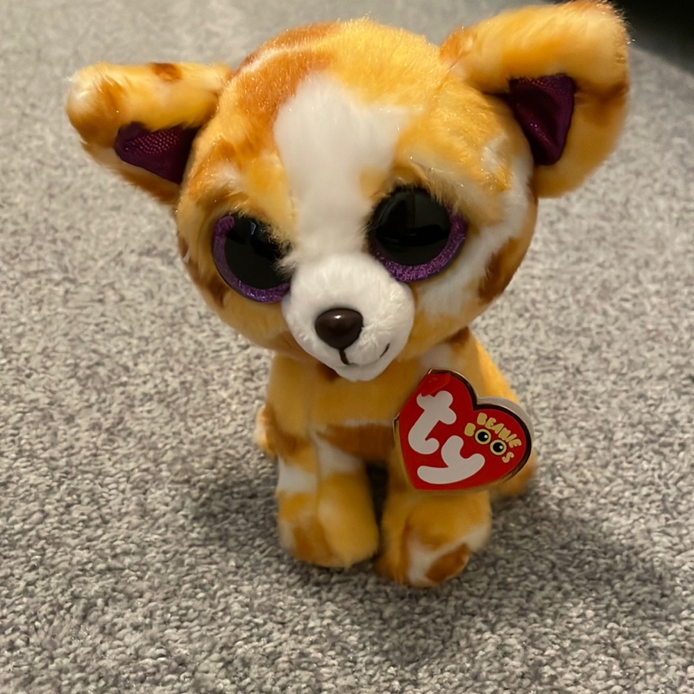6” Limited edition Chihuahua beanie boo